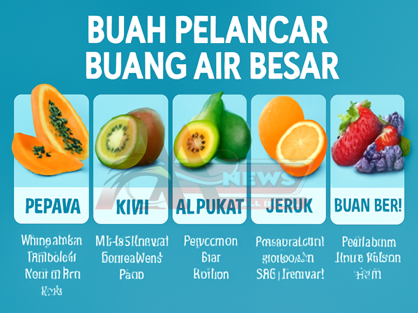 Buah Yang Melancarkan BAB